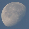 RSCN0605