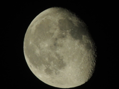 RSCN0796