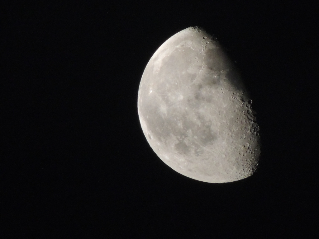 DSCN0576