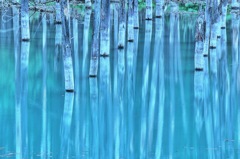 青い池
