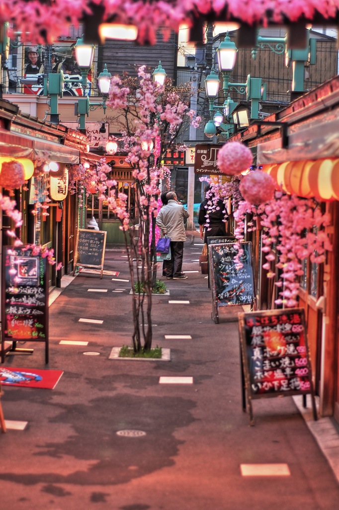 5月 函館大門横町