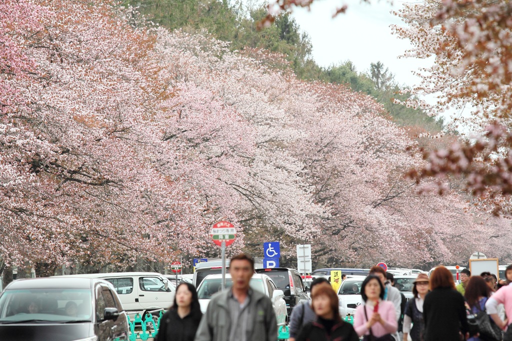 静内二十間道路