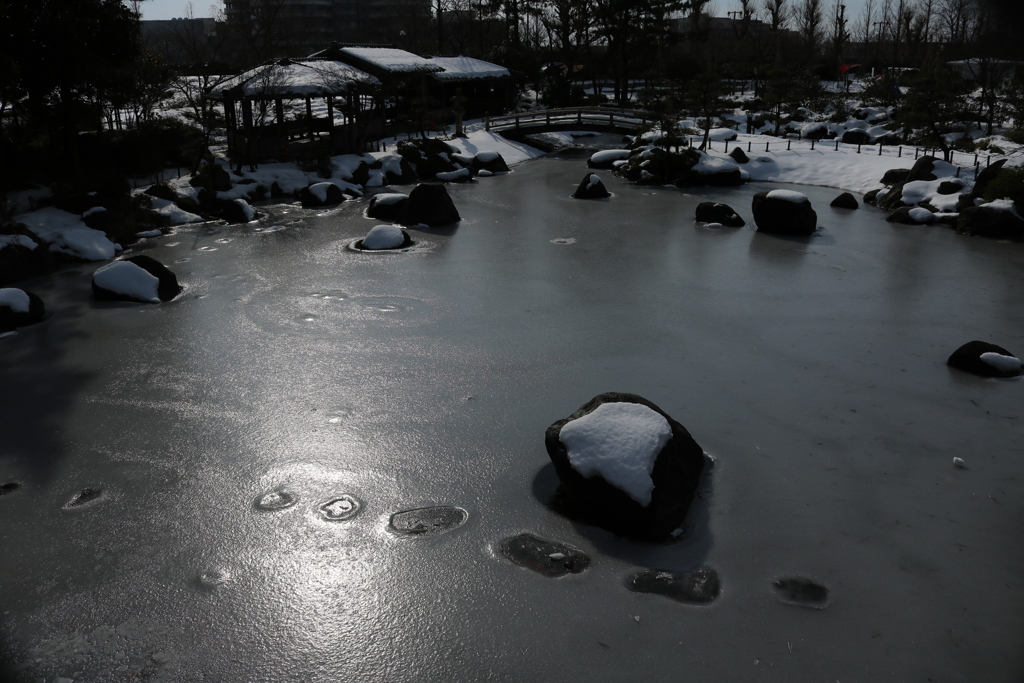 冬の散歩道1.