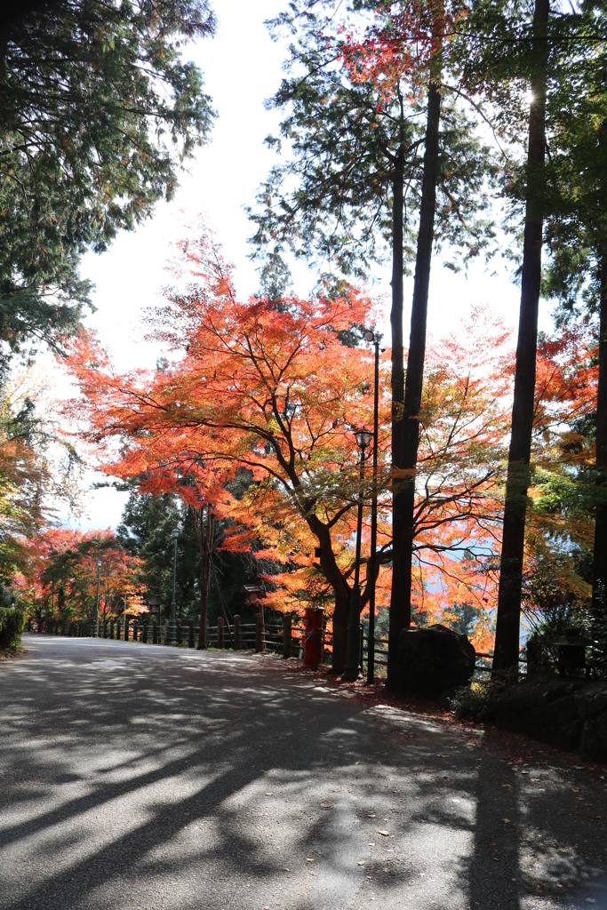 下呂の紅葉・Ⅲ