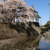 雪国の春・城跡のⅲ