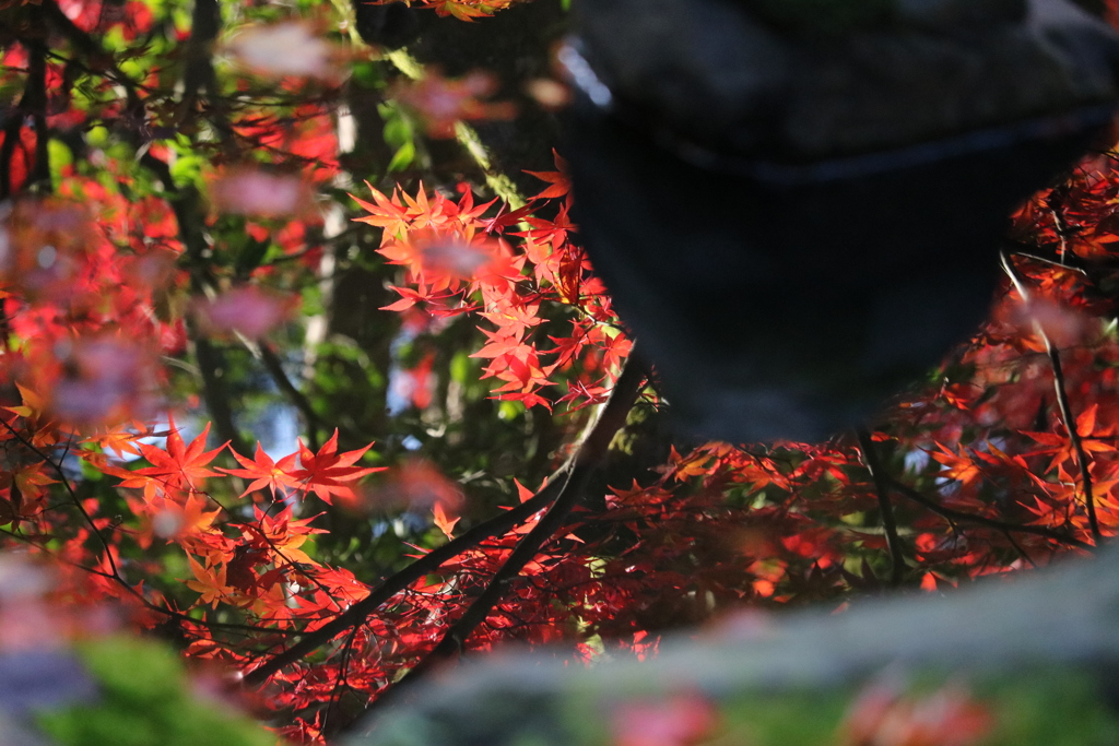 水鏡Ⅱ