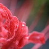 雨あがるⅠ