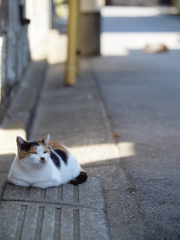 湯上りの表情