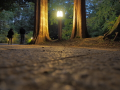 神聖な感じ