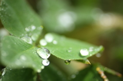 雨のち晴