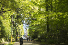 路地2