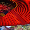 朱