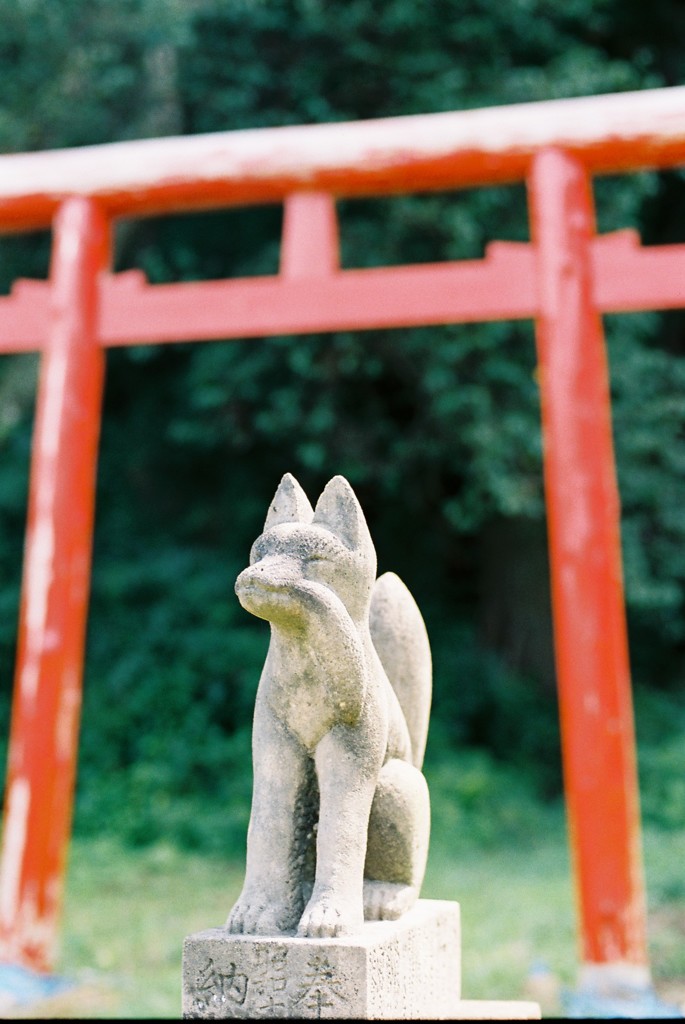 夏の思い出③