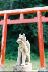 夏の思い出③