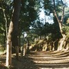 午後の散歩道