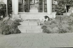 snapshot.3