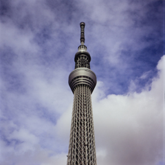 塔