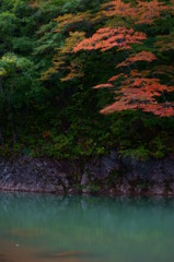 水辺の紅葉
