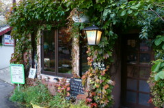 蔓の絡む店