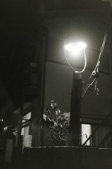 snapshot.2