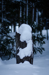 雪深く