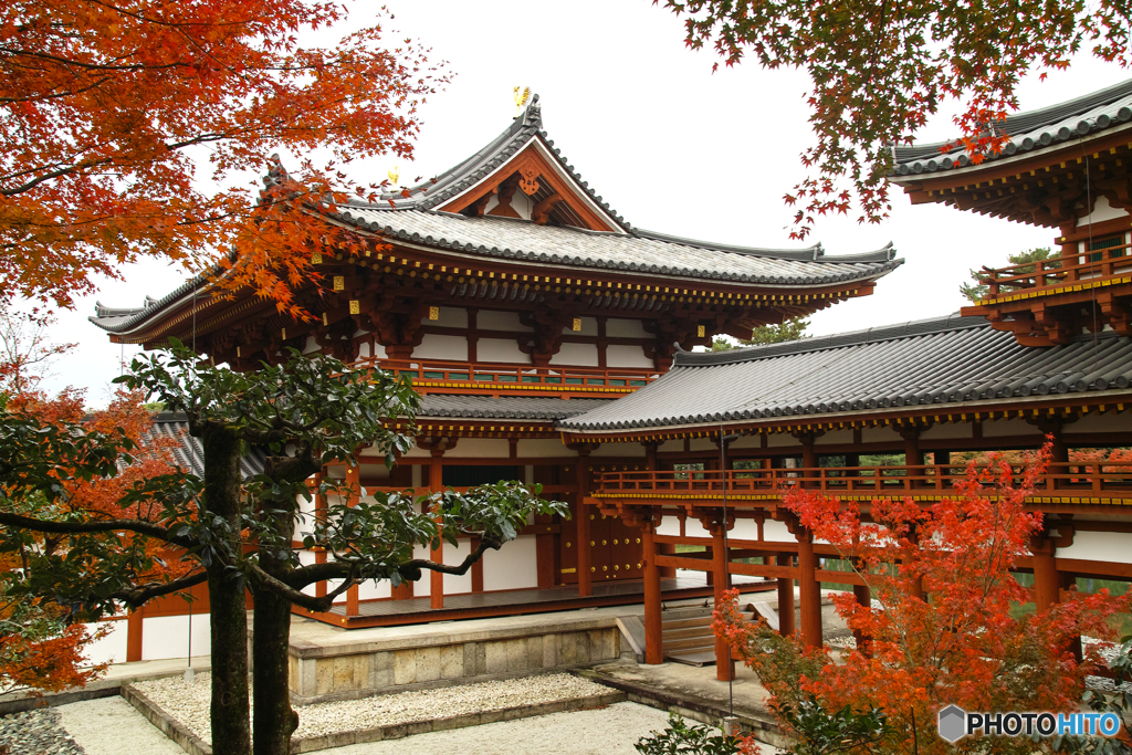 平等院にて