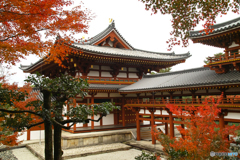 平等院にて