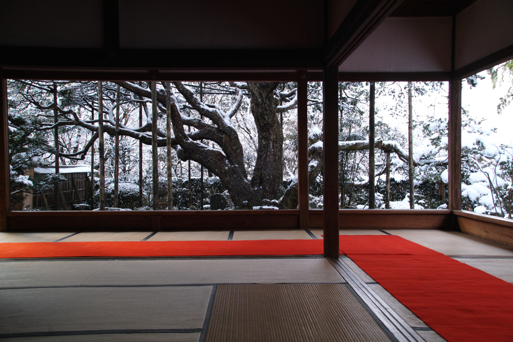 宝泉院　冬