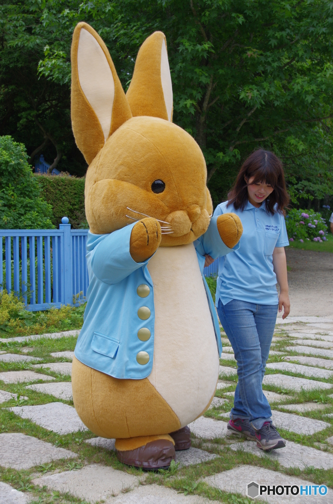 ピーターラビット