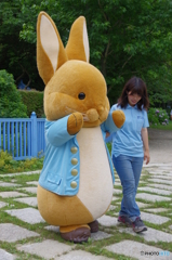 ピーターラビット