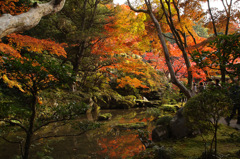 金剛輪寺にて