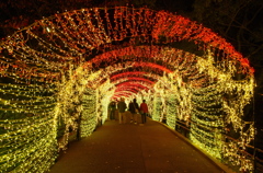 ひかりのトンネル