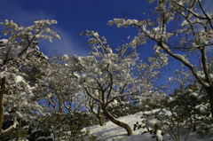 京都　金閣寺　雪