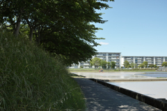 水田の風景