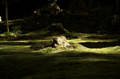 わらべ地蔵　大原・三千院