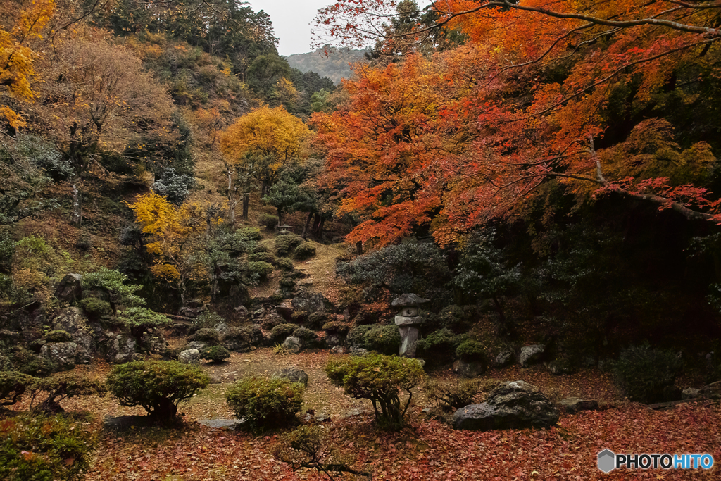 清瀧寺徳源院　庭園