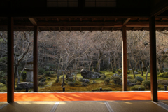 圓光寺