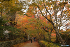 湖南三山　長寿寺