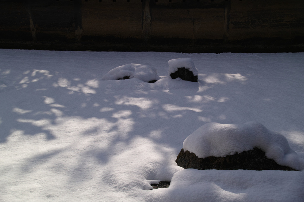 竜安寺　石庭　雪