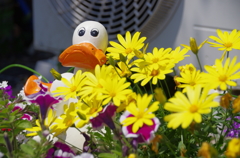 花にかくれて目立ちません