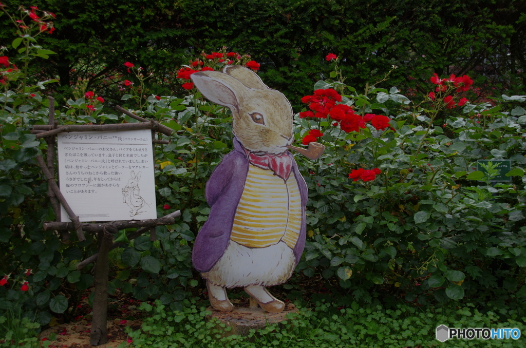 ベンジャミンバニー氏（バウンサーさん）