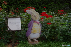 ベンジャミンバニー氏（バウンサーさん）