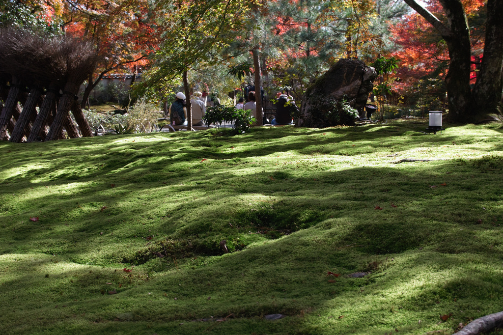 京都嵐山　宝巌院