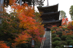 湖南三山　常楽時