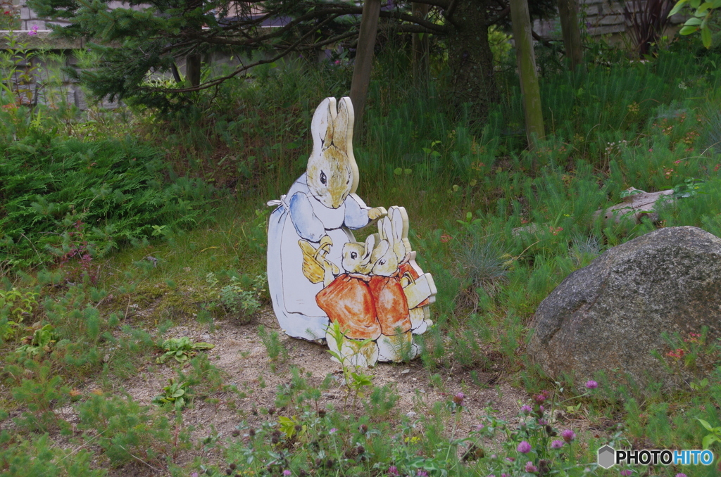ピーターラビットの庭