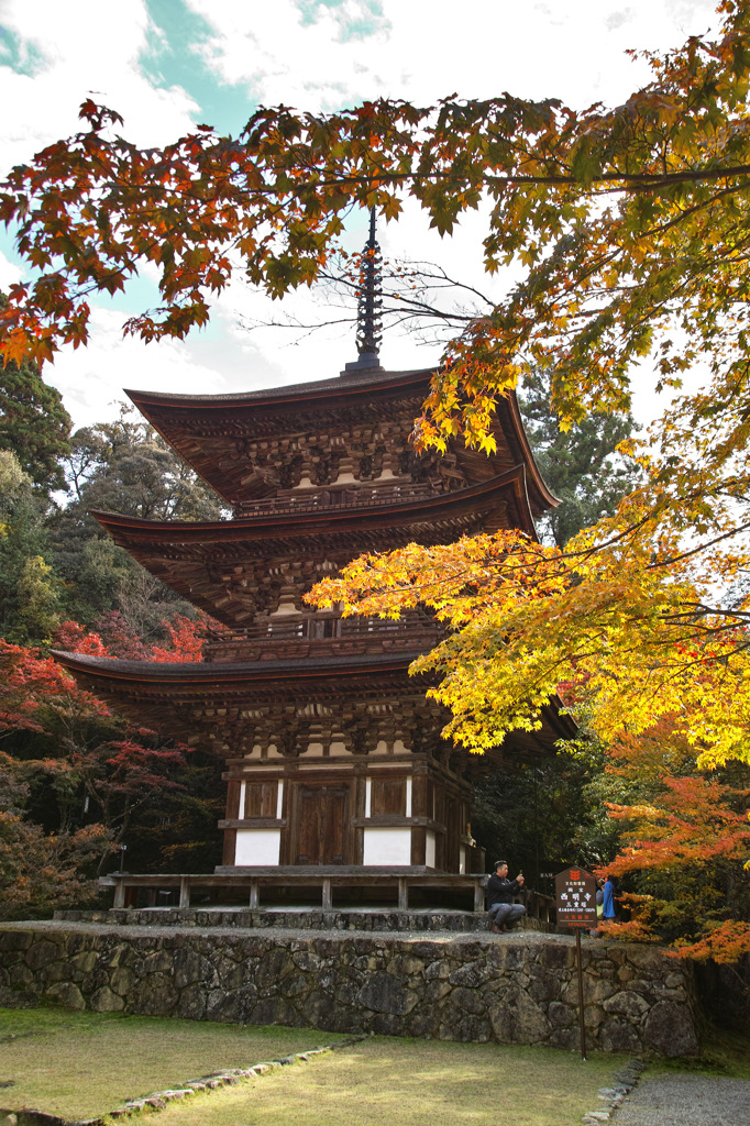 湖東三山　西明寺　三重塔