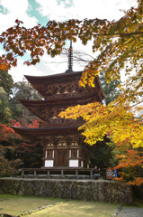 湖東三山　西明寺　三重塔