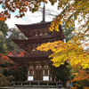 湖東三山　西明寺　三重塔