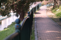 川沿いの遊歩道