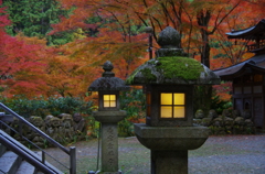 京都 愛宕念仏寺